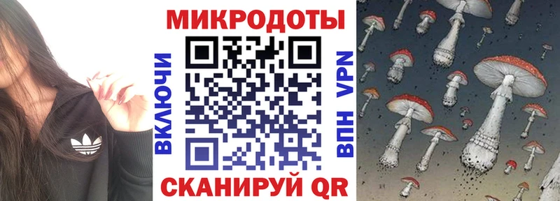Галлюциногенные грибы прущие грибы  Чаплыгин 